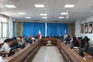 نشست انجمن طراحان گرافیک استان با شورای شهر تبریز